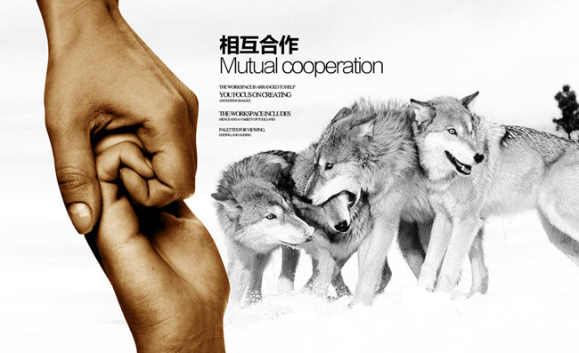 狼道管理.jpg 狼道管理.jpg